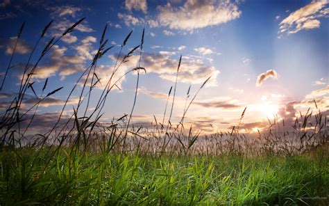 Wallpaper Sunlight Landscape Sunset Nature