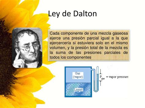 PPT - LEYES DE LOS GASES PowerPoint Presentation - ID:447196