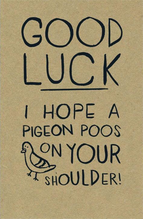 Good Luck Card Humour Pigeon Highworth Emporium