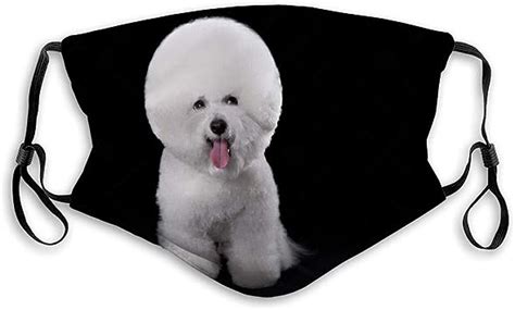 Amazon Com NYNELSONG Mouth Shield Face Cover Reusable Outdoor Covers Bichon Frise Beautiful