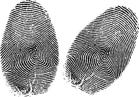 How Do We Know Every Fingerprint is Unique? - guernseydonkey.com