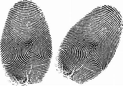 Fingerprint Unique Know Every Guernseydonkey
