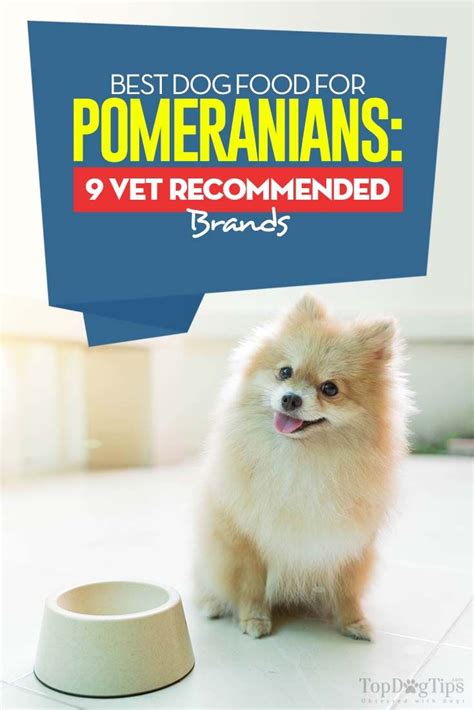 Heinze, vmd, ms, dacvn, clinical nutrition service, cummings school, cummings veterinary medical. Pin on Best Dog Food For...
