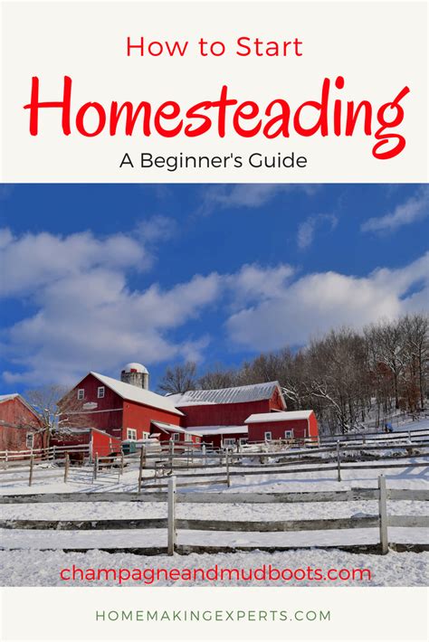 How To Start Homesteading In An Apartment Or On Acreage Champagne And
