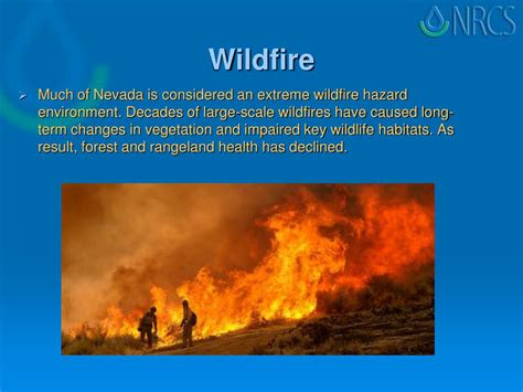 Ppt Overview Of The Nrcs In Nevada Powerpoint Presentation Free