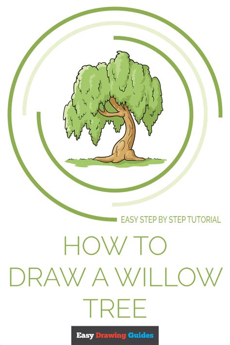 Learn How To Draw Willow Tree Easy Step By Step Drawing Tutorial For
