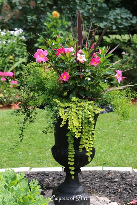 22 Creative Flower Container Ideas Empress Of Dirt