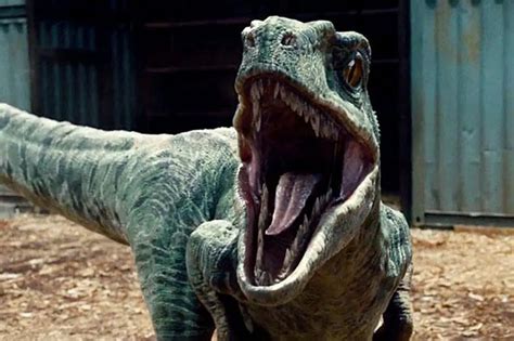 7 Dinos From Jurassic Park Youd Want As Pets