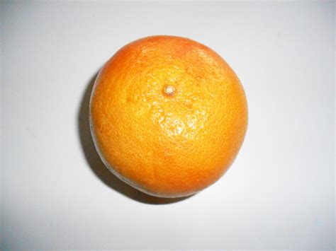 Fruit Orange Agrume Images Gratuites Et Libres De Droits