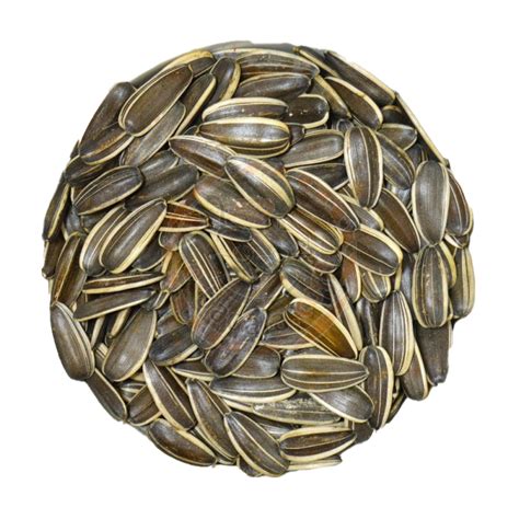 Sunflower Seeds Transparent File Png Play