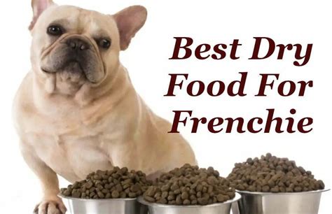 Best Food For French Bulldogs With Sensitive Stomach Ourfrenchie