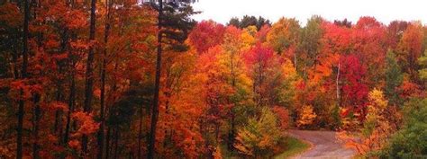 Take This Gorgeous Vermont Fall Foliage Road Trip Fall Foliage Road