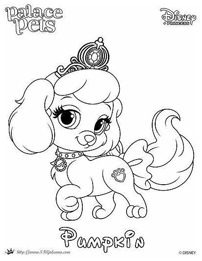 Coloring Palace Princess Pages Pumpkin Pet Dog