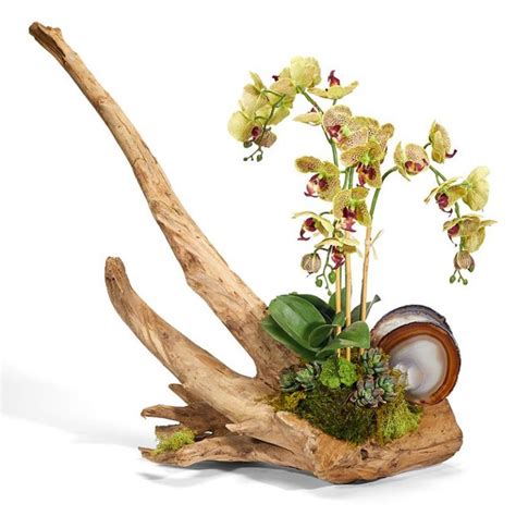 Driftwood Orchids Niu Urban Living