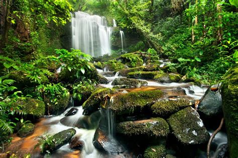 Waterfall In Deep Forest Stock Image Image Of Rock Tropical 23218331