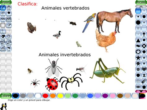 Qual A Diferença Entre Animais Vertebrados E Invertebrados Gsmbrain