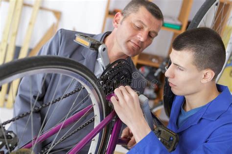 Bicycle Mechanic And Apprentice Repairing Bike In Workshop Stock Photo