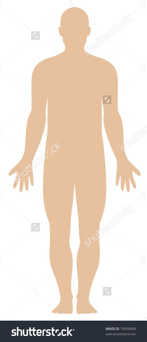 Human Body Outline Clipart Male 20 Free Cliparts