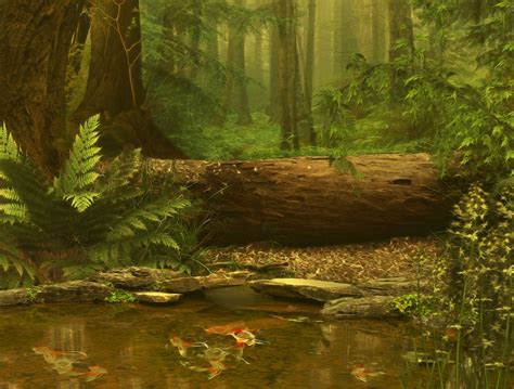 3d forest background hot sex picture