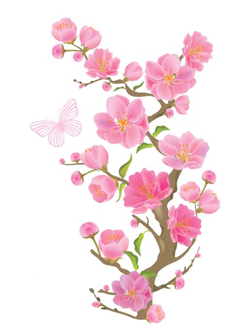 Japanese Clipart Peach Blossom Japanese Peach Blossom Transparent Free