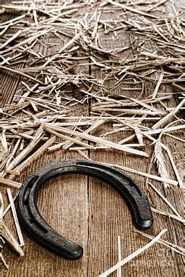 Horseshoe on Barn Floor Art Print by Olivier Le Queinec in 2021 | Art