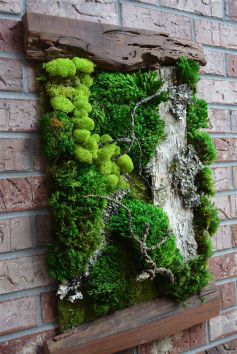 Living Moss Wall | Etsy