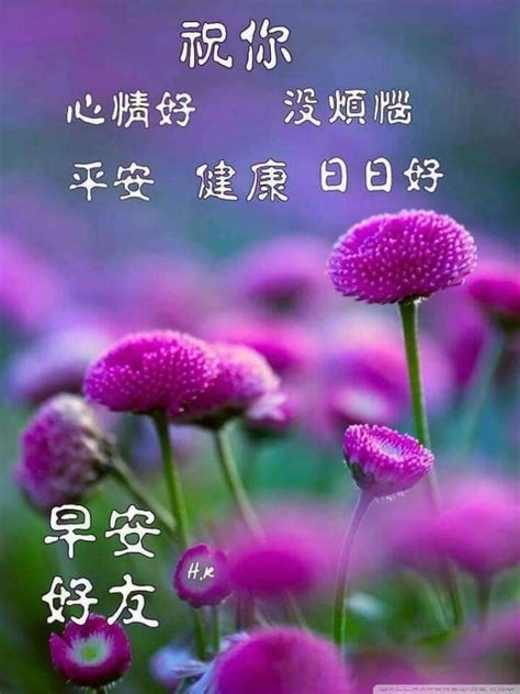 It is often used in morning greetings. Morning greeting image by Bee on Chinese Quotes | Morning ...