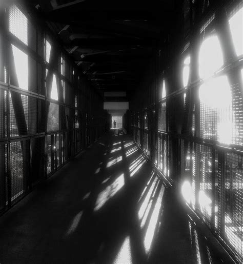Bridge Of Shadows Photograph By Lori Seaman Fine Art America