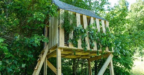 Photos How To Build A Deer Blind From Pallets Meateater Hunting