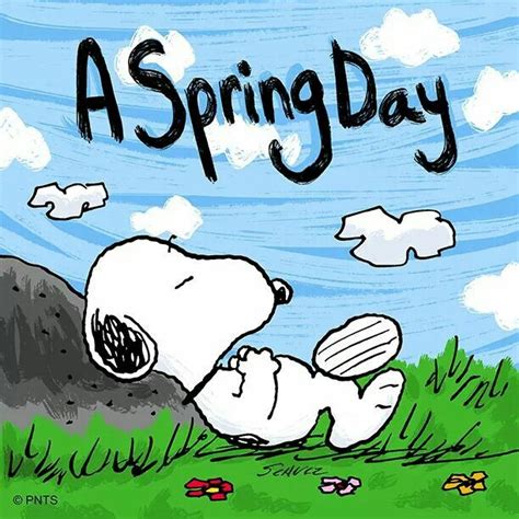 Spring Day Charlie Brown Snoopy Dibujos Animados