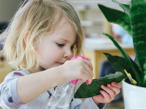 Fear not my fellow gardening gladiators: Plants in the Montessori Classroom