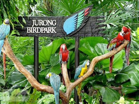 Singapore Attraction Ticket Jurong Bird Park Zoo