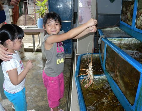 Maa roy thai seafood restaurant. At the Jade Garden Seafood Restaurant, Lobster Village. Pe ...