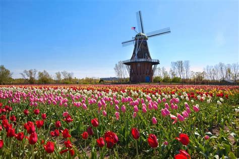 Spring Destinations Where To Go In The Spring Readers Digest