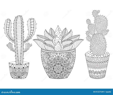 Zentangle Cactus Set Vector Illustration Hand Drawn Outline De Stock