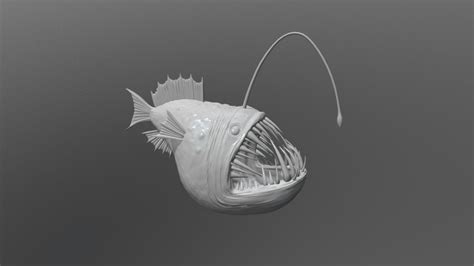 Angler Fish Sculpt 3d Model By Augustbelhumeur C319c62 Sketchfab