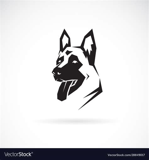 Dog Head German Shepherd On White Background Pet Vector Image