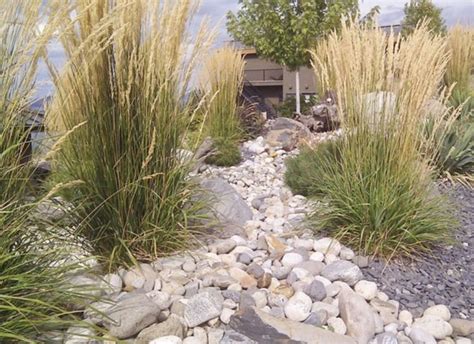Phenomenal 65 Best Xeriscape Landscaping Colorado Inspirations You