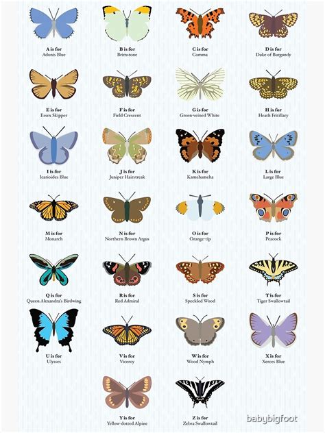 Butterfly Alphabet Canvas Print For Sale By Babybigfoot Redbubble