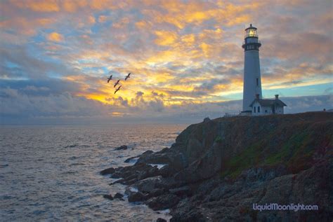Pelican Sunset Pigeon Point Lighthouse California Flickr