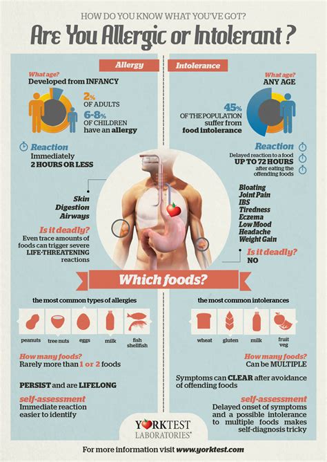 Food Allergies Vs Food Intolerance An Infographic