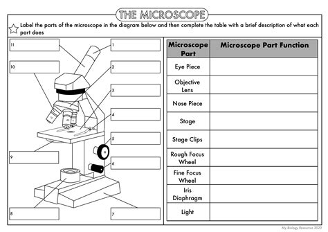 Gcse Biology Cell Biology Worksheet Pack Updated Teaching Resources