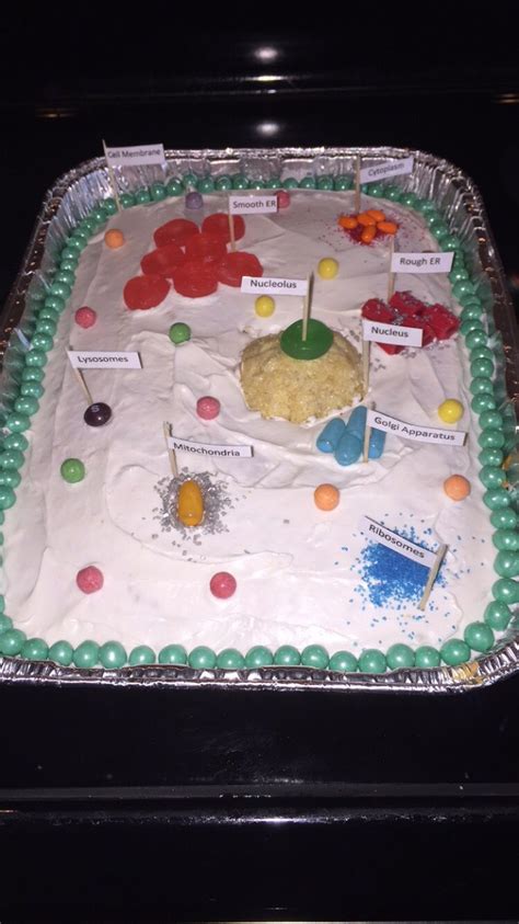 Animal Cell Made From Cake Edible Animal Cell Science