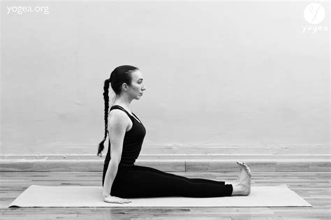 Dandasana Staff Pose Yogea Innovative Yoga