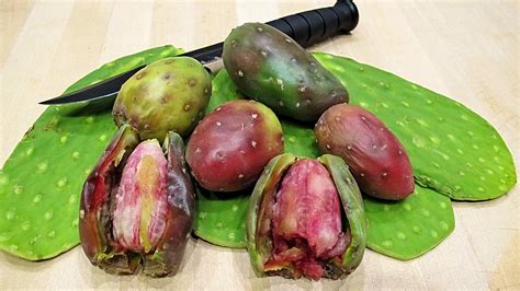Beets, cactus fruit and dragon fruit have powerful compound called betalain, which loading please wait. Prickly Pear tunas y nopales | I've talked about eating ...