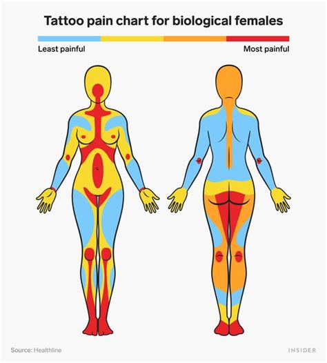 Tattoo Pain Areas Chart