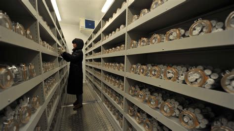 Chinas Seed Bank Key In Preserving Genetic Diversity Chinese