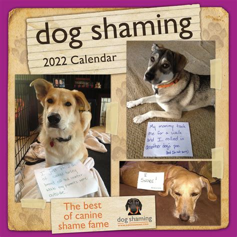 Buy Dog Shaming 2022 Square Wall Calendar At Mighty Ape Nz