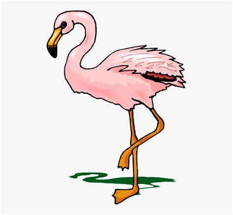 Top 84 Flamingo Clipart Flamingos Cliparts Free
