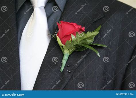 Rose Lapel Suit Stock Photo Image Of Prom Rose Pinstripe 9383736